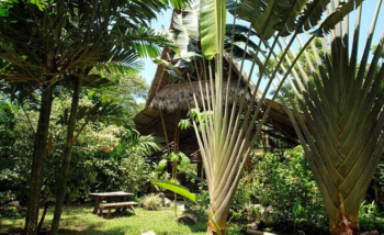 Lodges with perfect Eco Rating Score-Ojo del Mar in the Osa Peninsula, Costa Rica