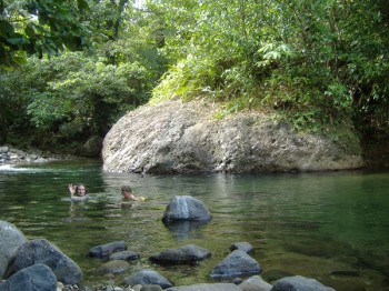 Lodges with perfect Eco Rating Score-Rosalie Forest Eco Lodge and 3 Rivers in East Dominica