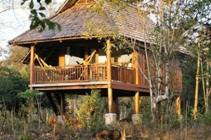 Kingfisher Ecolodge-Laos