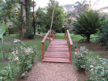 Macaw Bank Jungle Lodge bridge in the garden