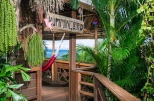 TranquilSeas Eco Lodge and Dive Center-Honduras