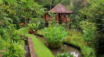 Lodges with perfect Eco Rating Score-Bali Eco Stay in Bali, Indonesia