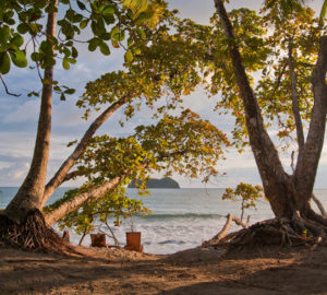 Arenas Del Mar Beach and Nature Resort