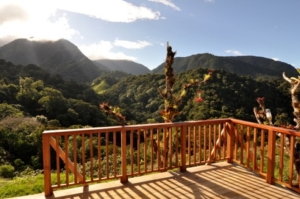 Mount Totumas Cloud Forest Preserve