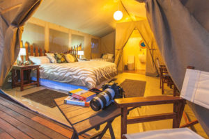 Wildebeest Eco Camp-Kenya