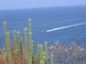 Los Chonchos Beach-Mexico