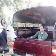 Feeding truck at FaaSai Resort and Spa-Thailand