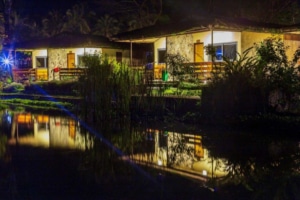 Paddy Villas at Night