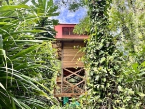 Accomadations at Casa Cayuco are all unique and naturally inspired